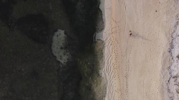 在印度尼西亚吉里岛的低潮海滨 独行游客骑着自行车 踩着脚印坐在沙滩上 俯瞰空中美景 — 图库视频影像