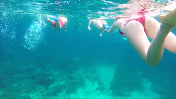 Bodies Men Women Snorkeling Transparent Ocean Bali Indonesia Movilidad Lenta — Vídeo de stock