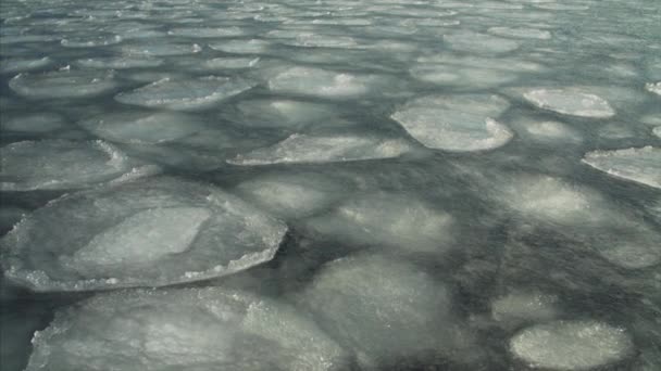 Floes Glace Flottant Surface Eau Sombre Début Printemps — Video