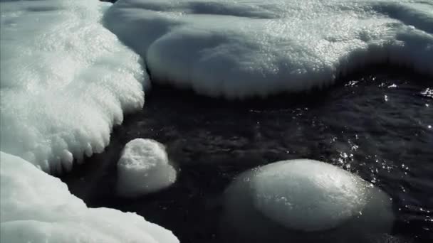 Côte Recouverte Glace Blanche Sous Soleil Printanier Éclatant Floes Glace — Video