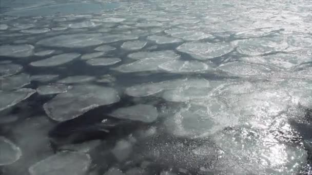 Aerial Top View Sea Surface Snowy Ice Floes Moving Sea — Stock Video