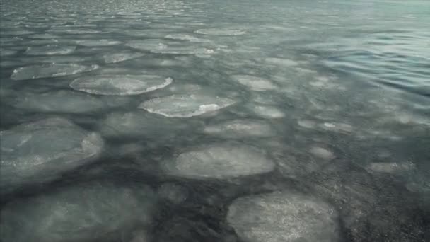 Floes Glace Flottant Surface Eau Sombre Début Printemps — Video