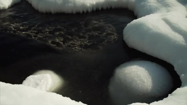 Shore Covered White Ice Bright Spring Sun Ice Floes Floating — Stock Video