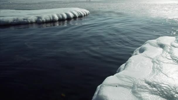 Σκούρο Κρύο Νερό Και Ακτή Καλυμμένη Λευκό Πάγο Άνοιξη Ηλιόλουστη — Αρχείο Βίντεο