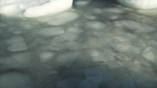 Πάγος Επιπλέει Στη Σκοτεινή Επιφάνεια Του Νερού Νωρίς Την Άνοιξη — Αρχείο Βίντεο