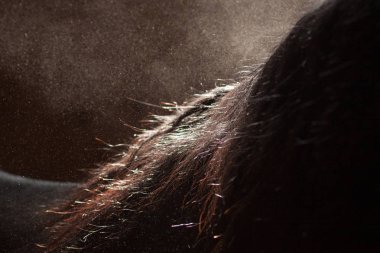 Siyah arka planda duşta siyah bir atın yelesini kapat. Yatay, yana doğru.