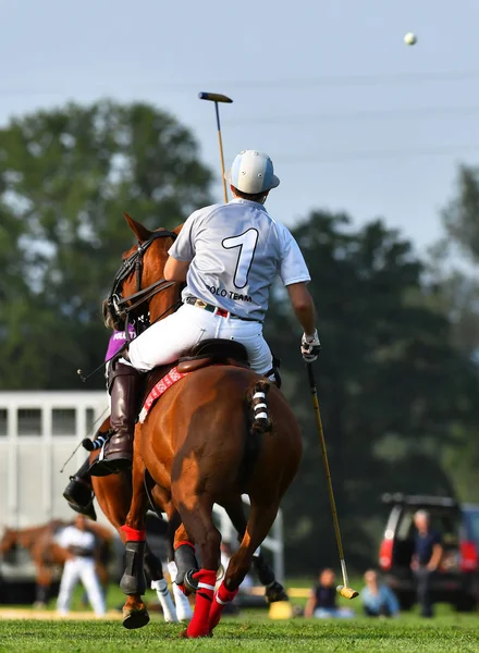 Atın Üzerindeki Polo Sürücüsü Oyunu Oynuyor Arkadan Bak — Stok fotoğraf