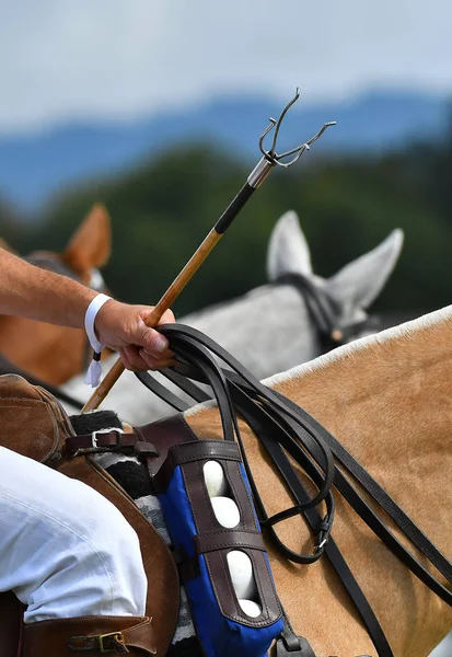 Cavaleiro Pólo Cavalo Perto Detalhes Equipamento Bolas Martelo Reinos Sela — Fotografia de Stock