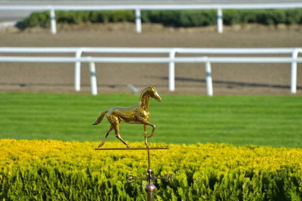 Staty Akhal Teke Som Väder Vane Med Grönt Fält Bakgrunden — Stockfoto