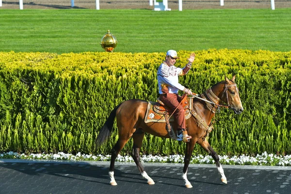 Turkmenistan Ashgabat April 2019 Day Turkman Racehorse 베르디 말타기 — 스톡 사진