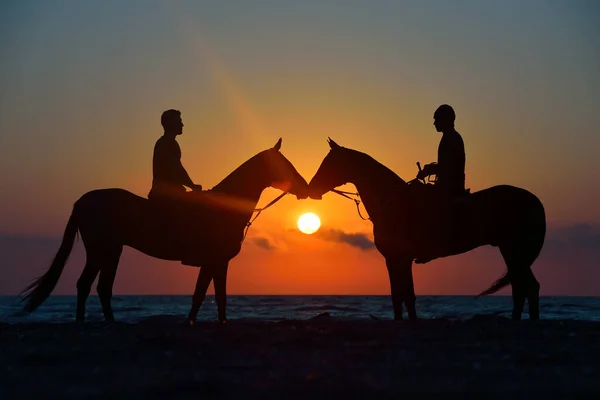 Siluetas Naturales Dos Rideras Caballos Akhal Teke Pie Nariz Nariz — Foto de Stock