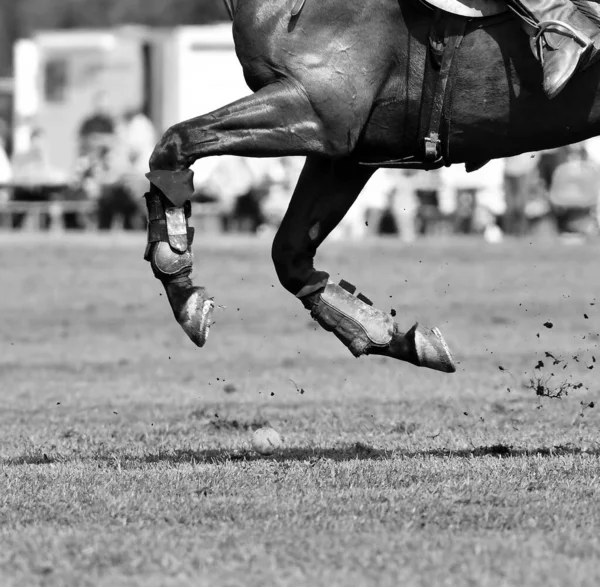 ポロ選手がボールを追いかける 水平方向 黒と白からのビュー 馬の足のクローズアップ詳細 — ストック写真