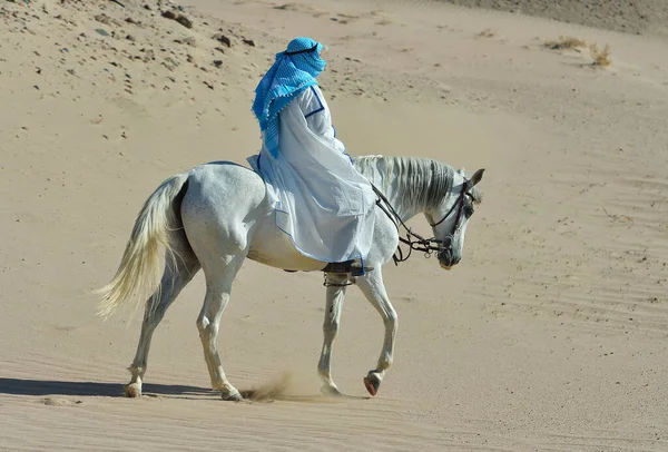 Reiter Traditioneller Kleidung Reiten Auf Einem Arabischen Pferd Der Wüste — Stockfoto