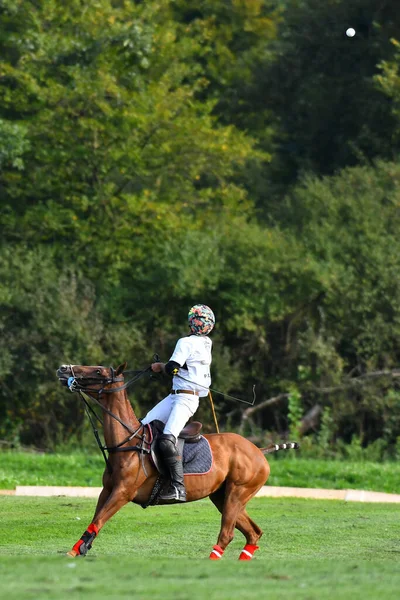 Polo Spelare Hästen Slår Bollen Luften Vertikal Rörelse Sidovy — Stockfoto