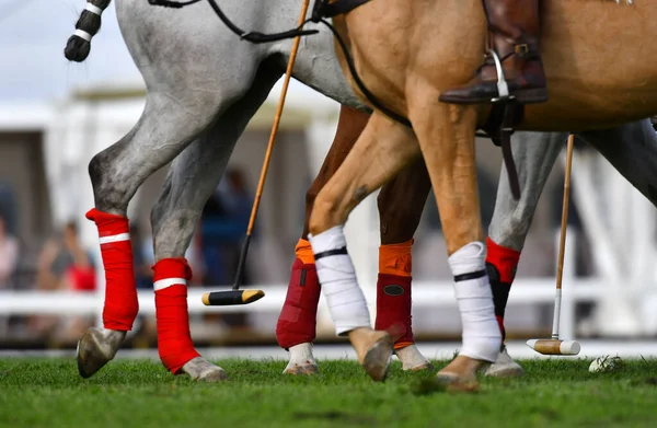 Jogadores Pólo Fecham Detalhes Pernas Cavalos — Fotografia de Stock