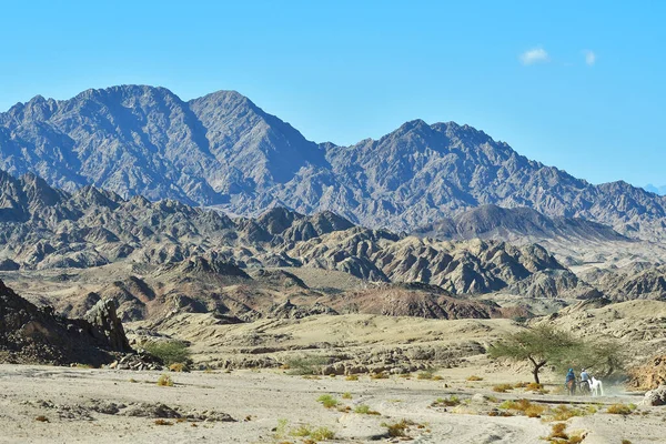 Arabische Reisende Auf Pferden Der Ägyptischen Wüste Berge Auf Dem — Stockfoto