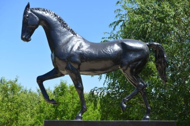 Kogershin, Kazakistan - 5 Haziran 2014: Akhal Teke Aygırı 'nın Anıtı Yazın at damızlığı Lugovskoy' da bakır eksikliği.