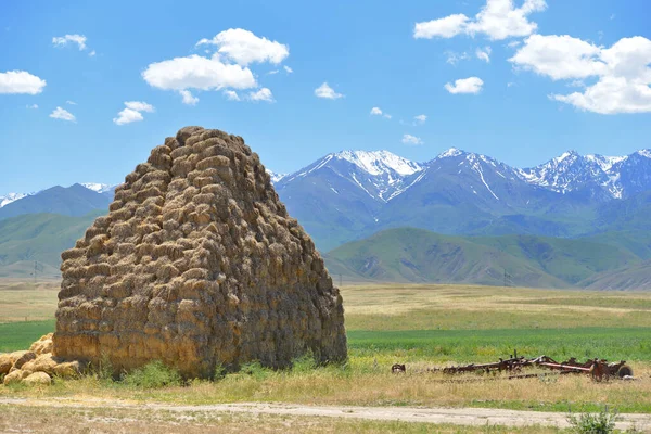 Nagy Szénakazal Használatra Kész Mezőgazdasági Berendezések Kazahsztáni Sztyeppén Kék Hegyek Jogdíjmentes Stock Képek