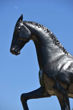 Kogershin, Kazakistan - 5 Haziran 2014: Akhal Teke Aygırı 'nın Anıtı Yazın at damızlığı Lugovskoy' da bakır eksikliği.