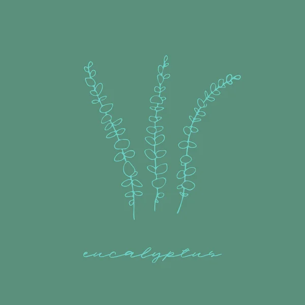 Deniz mavisi arkaplanındaki vektör okaliptüs dalları.
