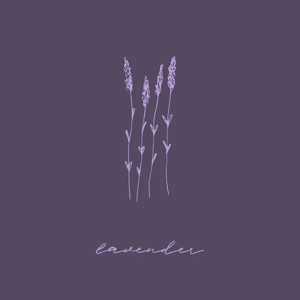 El yapımı lavanta. Çiçek tasarım elementleri.