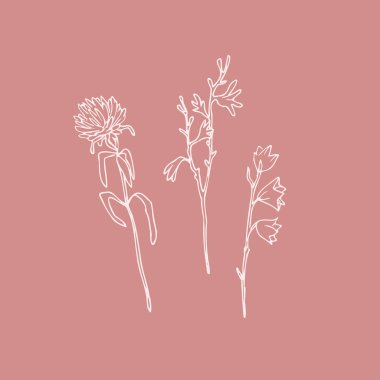 vektör toplama el çizim çiçek