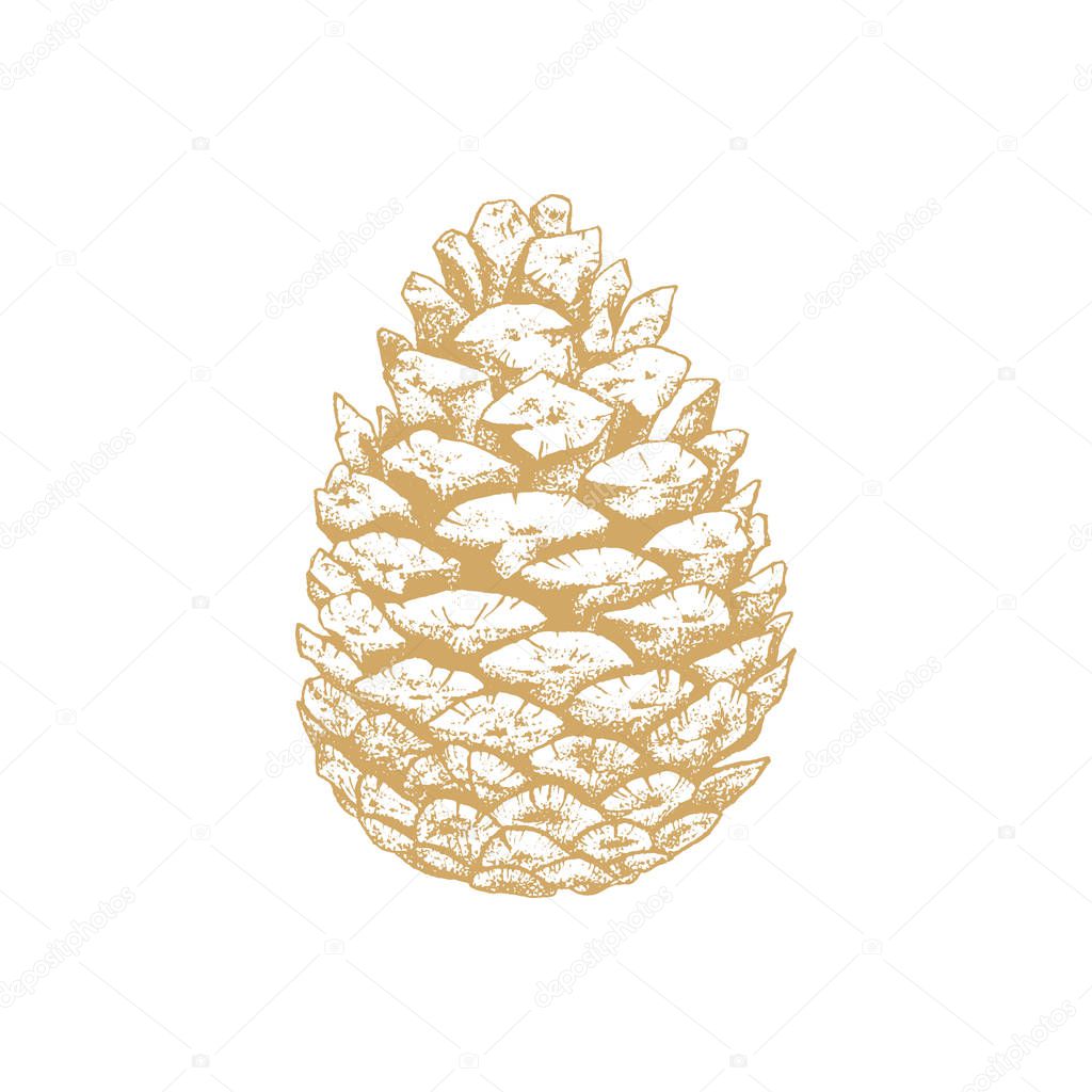 dotwork pine cone