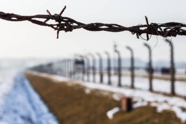 Çevre Auschwitz II-Birkena dan barbs Close-up