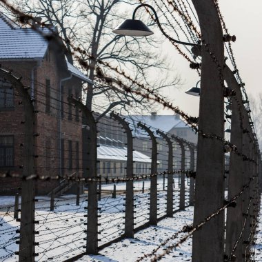 Auschwitz ı 'de ikiz çitler