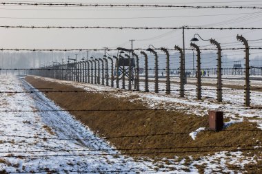 Auschwitz II-Birkenau sitesine bakıyor