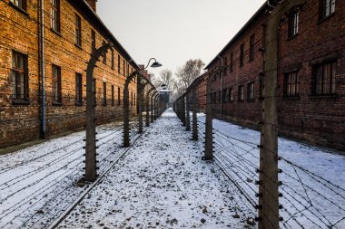 Çevre çit Auschwitz ı iki parça ayrı