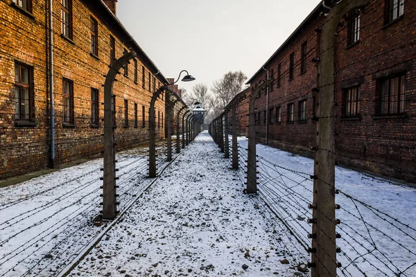 Çevre çit Auschwitz ı iki parça ayrı — Stok fotoğraf