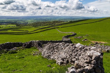 Taş duvarlar Yorkshire