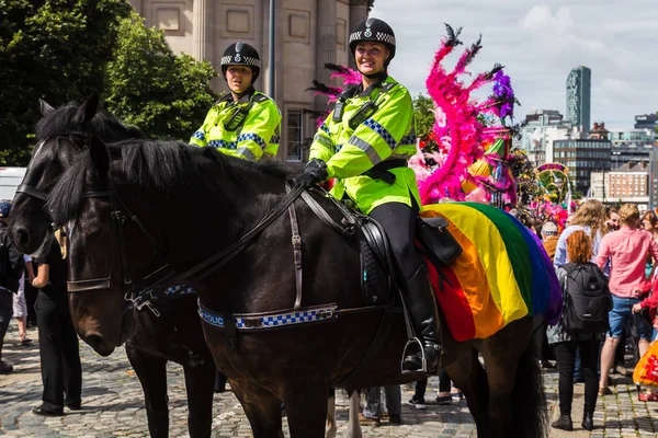 Cavalli della polizia in colori arcobaleno — Foto Stock