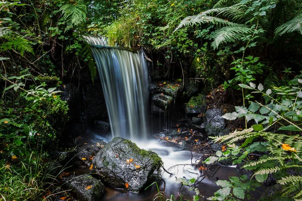 Rivelin Valley in Yorkshire — Stock Photo, Image