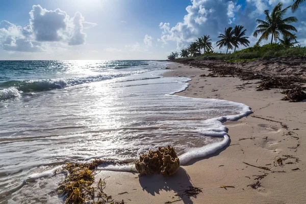 Хвилі притирання на березі острів Коко — стокове фото
