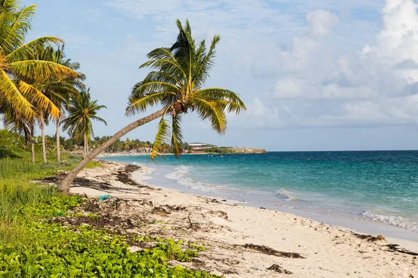 Cayo Coco beach — Stok fotoğraf