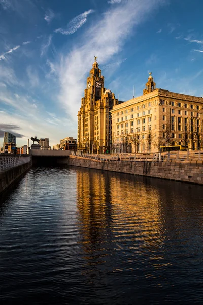 Reflections of the Liver Building at dusk — Stock Photo, Image