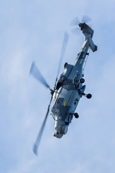 Close-up do Wildcat da Marinha — Fotografia de Stock