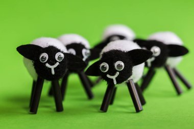 Minyatür kuzular kadar kapatın