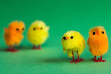 Minyatür Paskalya civciv