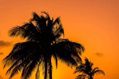 Guardalavaca günbatımı, Küba