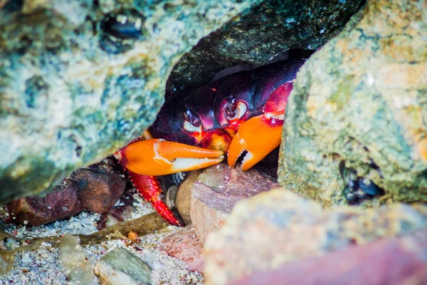 Güneşten koruma — Stok fotoğraf