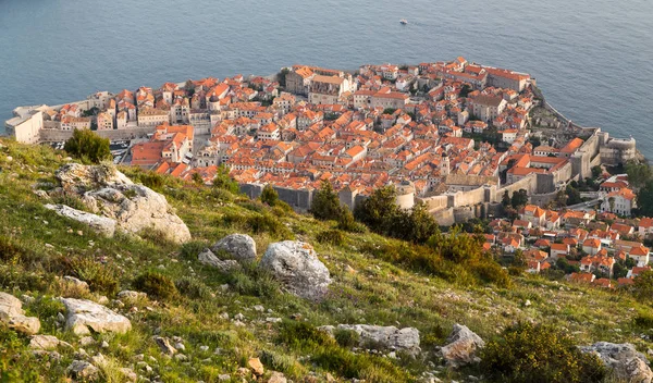 El casco antiguo de Dubrovnik desde la ladera — Foto de Stock