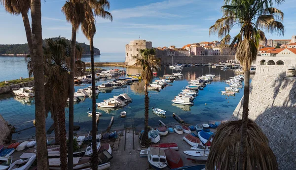 Csónakok, kikötő Dubrovnik sorakoznak — Stock Fotó