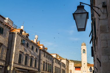 Stradun üzerine sığırcık sürüsü