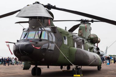 Kanada Kraliyet Hava Kuvvetleri Ch-147f Chinook