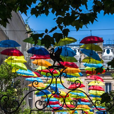 Bir Liverbird önünde kayan şemsiye silüeti