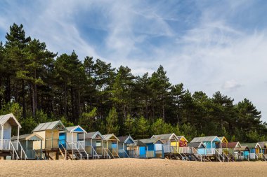 Beach huts by the pine forest clipart