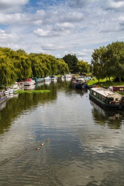 Üç tane büyük nehir Ouse üzerinde ördek